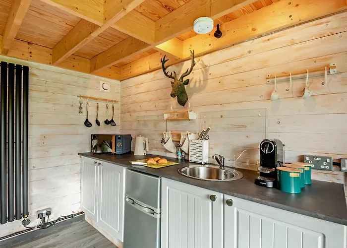 1 Bed In Maryport Oc-96373 山林小屋